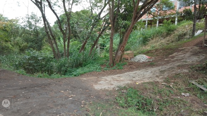 FOTO 1 - ALTEROSA_