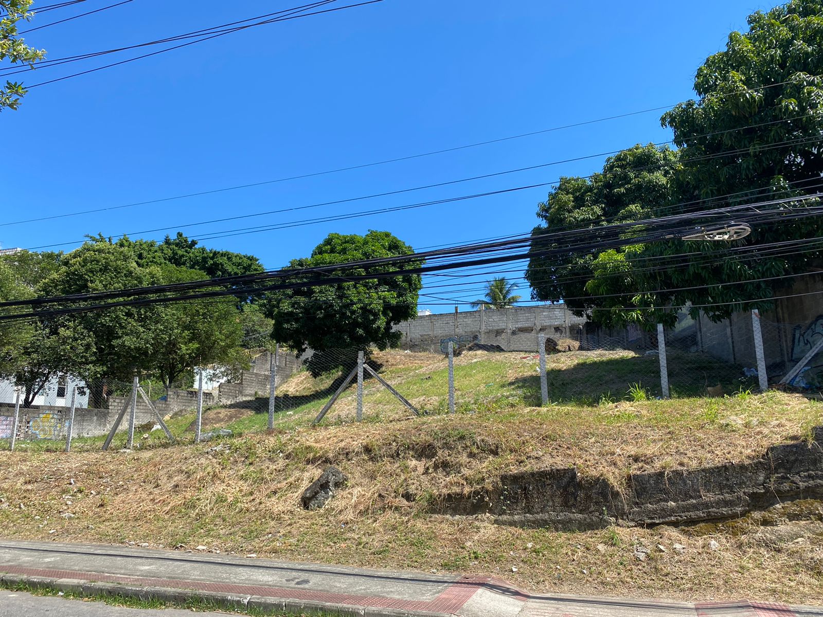 Terreno lote 1